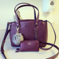 ImageUploadedByPurseForum1454097786.324054.jpg