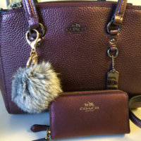 ImageUploadedByPurseForum1454097810.827077.jpg