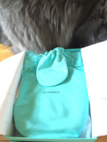 ImageUploadedByPurseForum1454163780.280815.jpg