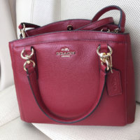ImageUploadedByPurseForum1454180551.997788.jpg
