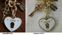 sardenso aka shaned888 fake vs auth 93079 charms.png