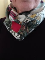 hiver en poste ascot cowl close.JPG
