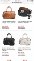ImageUploadedByPurseForum1454501869.689530.jpg