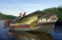 catch_Big-Bass-Fake.jpg