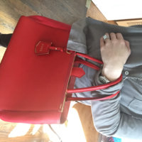 ImageUploadedByPurseForum1454618618.037305.jpg