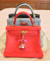 ImageUploadedByPurseForum1454761786.539701.jpg