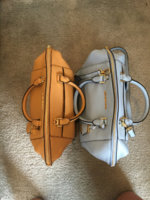 ImageUploadedByPurseForum1454799450.781232.jpg