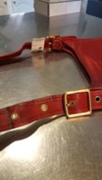 red coach 9966 4.jpg