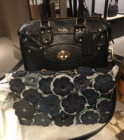ImageUploadedByPurseForum1455120917.642223.jpg