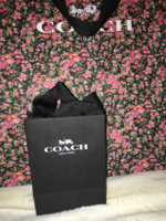 ImageUploadedByPurseForum1455159302.049864.jpg