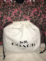 ImageUploadedByPurseForum1455159676.155496.jpg