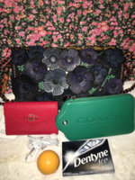 ImageUploadedByPurseForum1455161594.568582.jpg