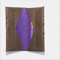 python envelope wallet.png