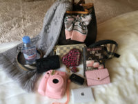 ImageUploadedByPurseForum1455298738.656623.jpg