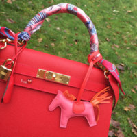 ImageUploadedByPurseForum1455327589.883433.jpg