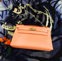 ImageUploadedByPurseForum1455380287.943297.jpg