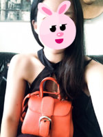 ImageUploadedByPurseForum1455575431.429956.jpg