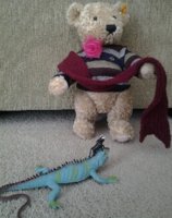 Bear as el cordobes.jpg