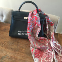 ImageUploadedByPurseForum1455732798.662825.jpg