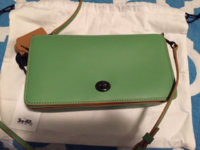 ImageUploadedByPurseForum1455756636.708591.jpg