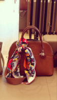ImageUploadedByPurseForum1455762500.199890.jpg