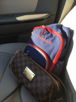 ImageUploadedByPurseForum1455827937.863038.jpg