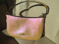 ImageUploadedByPurseForum1455915262.983062.jpg