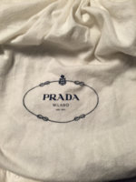ImageUploadedByPurseForum1456022993.613467.jpg