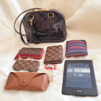 ImageUploadedByPurseForum1456030935.008049.jpg