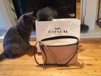 ImageUploadedByPurseForum1456091846.678851.jpg