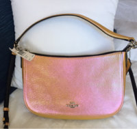 ImageUploadedByPurseForum1456093691.715589.jpg