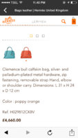 ImageUploadedByPurseForum1456159410.880186.jpg