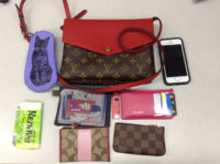 ImageUploadedByPurseForum1456163991.942302.jpg