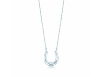 Tiffany horseshoe.png