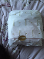 ImageUploadedByPurseForum1456422232.673565.jpg