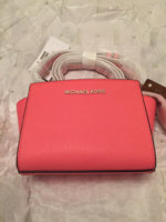 ImageUploadedByPurseForum1456422262.367647.jpg
