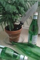Tree not taking news well(1).jpg