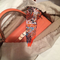 ImageUploadedByPurseForum1456542653.193737.jpg