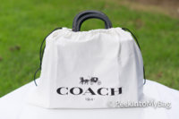 ImageUploadedByPurseForum1456715947.149304.jpg