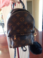 ImageUploadedByPurseForum1456779214.594852.jpg