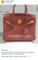 ImageUploadedByPurseForum1456833672.822731.jpg
