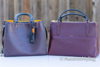ImageUploadedByPurseForum1456888078.176647.jpg