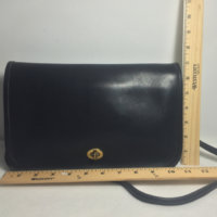 ImageUploadedByPurseForum1456895481.119382.jpg