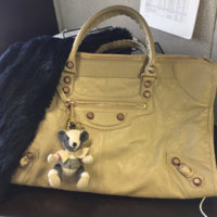 ImageUploadedByPurseForum1457008217.526252.jpg