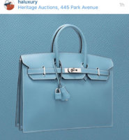 ImageUploadedByPurseForum1457030938.737667.jpg