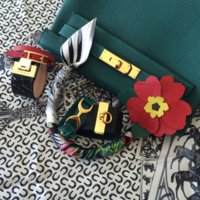 ImageUploadedByPurseForum1457031963.148009.jpg