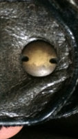 ImageUploadedByPurseForum1457393569.468863.jpg ImageUploadedByPurseForum1457393569.468863.jpg