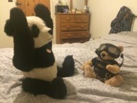 image.jpeg