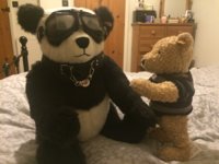 image.jpeg