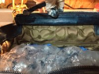 IMG_3643[1].JPG